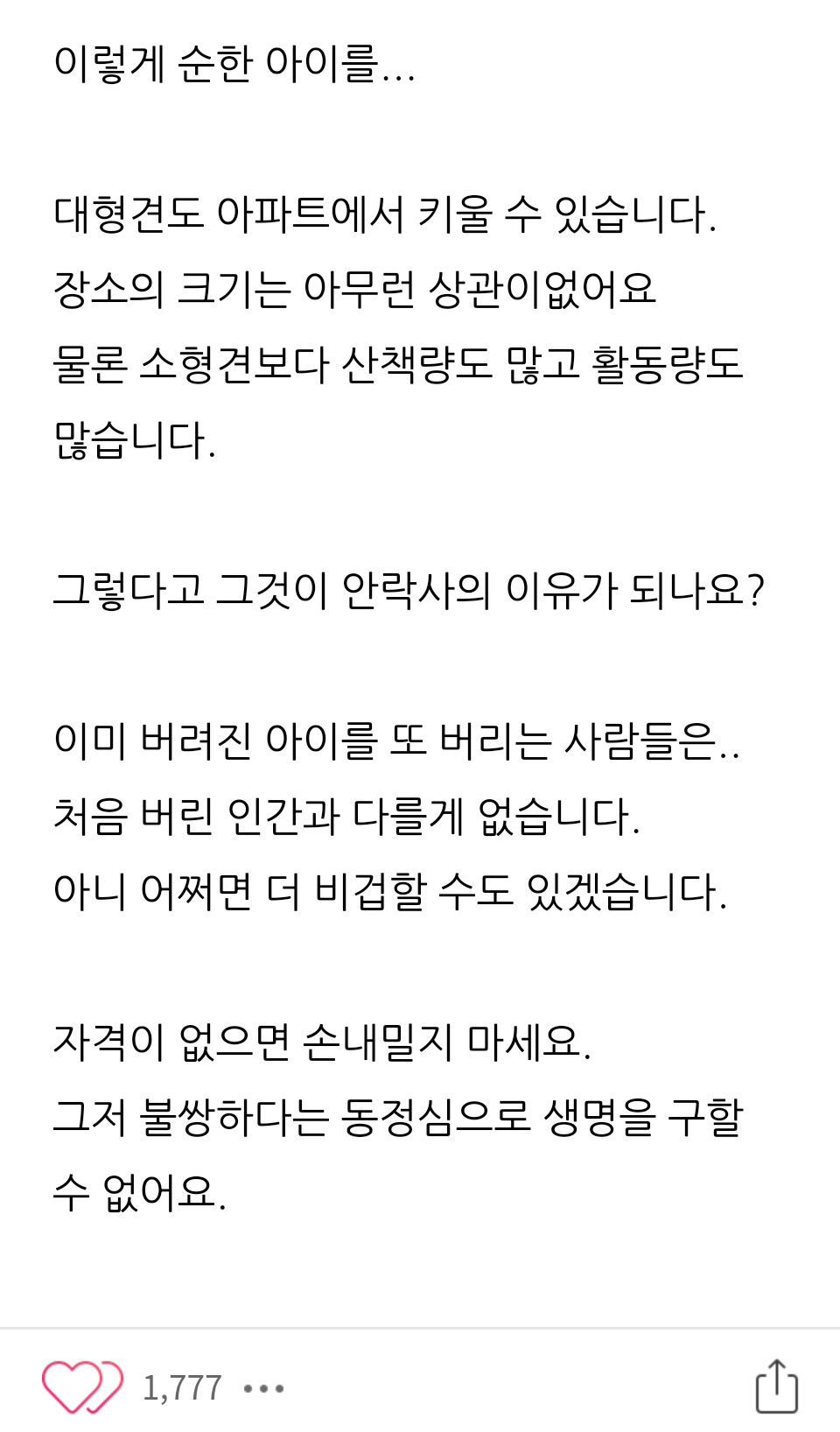 입양 10분만에 안락사 대상