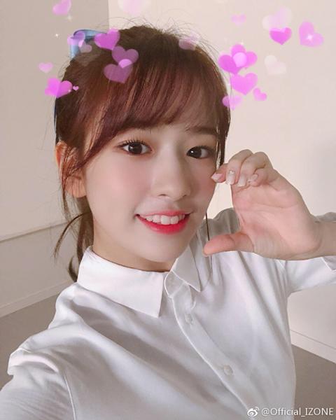 새우가 먹고 싶은 댕댕이