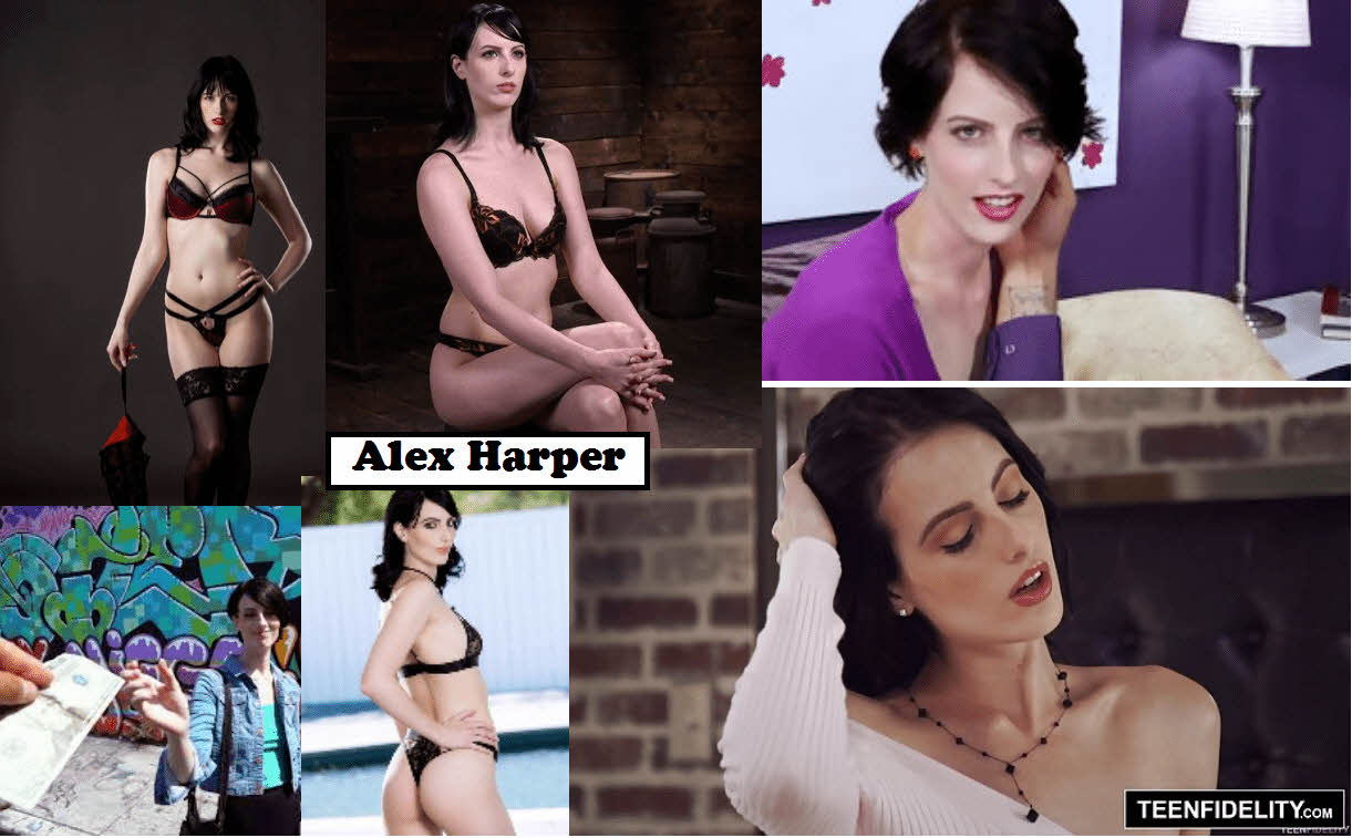 S급 서양 배우 확장판