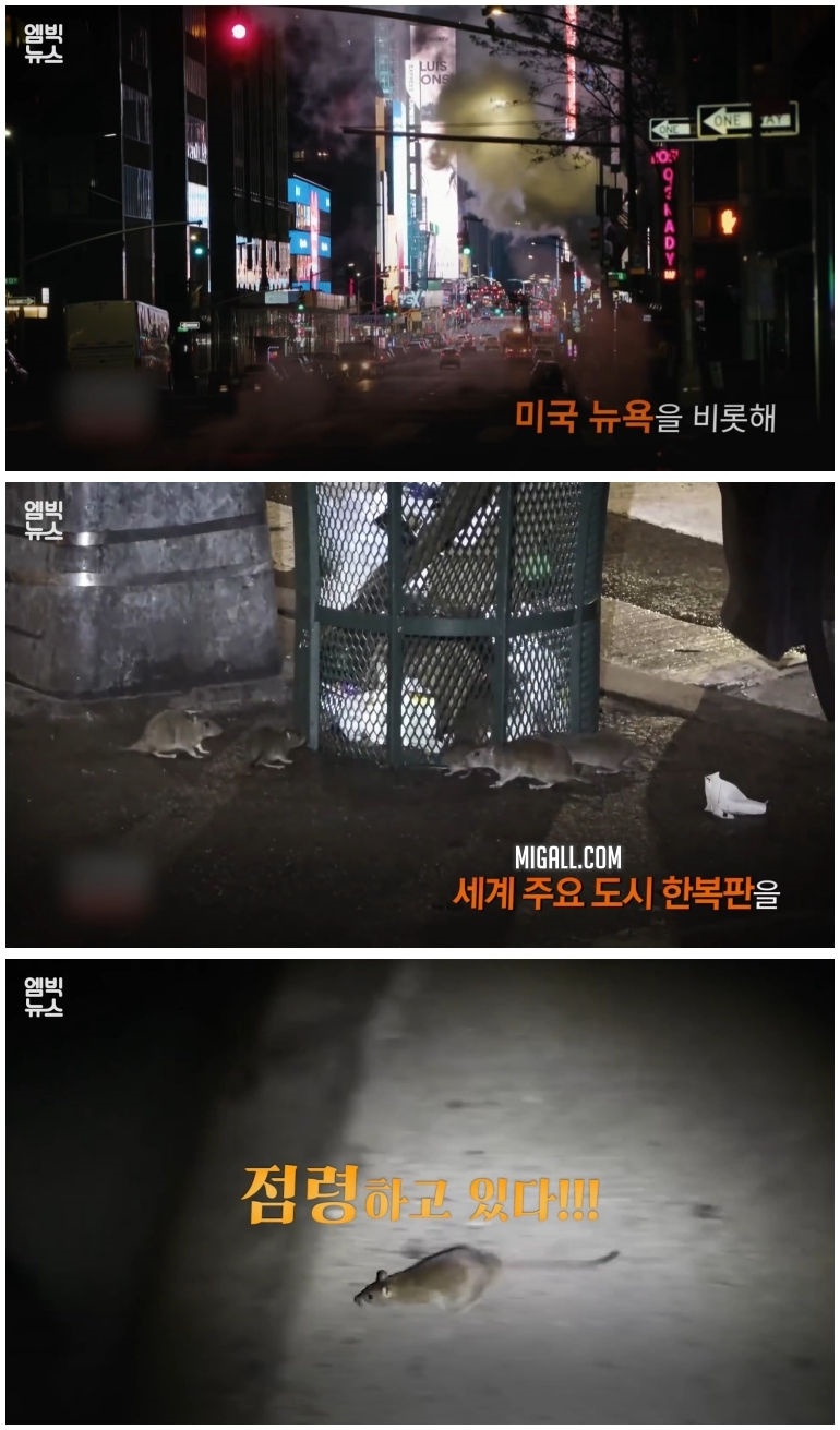 세계 곳곳 주요 도시에 창궐 중