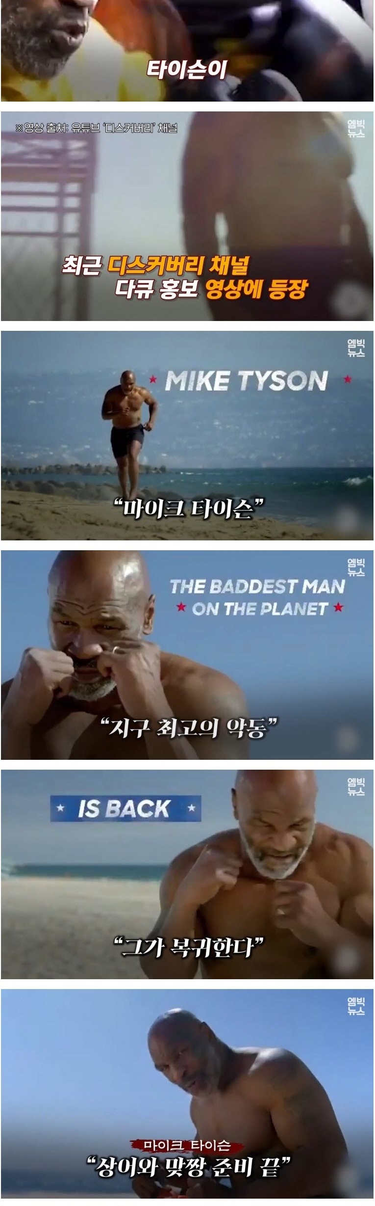 인간 VS 동물 기상천외한 승부