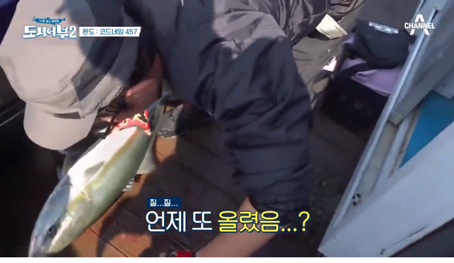 방어잡은 도시어부 프로그램 근황