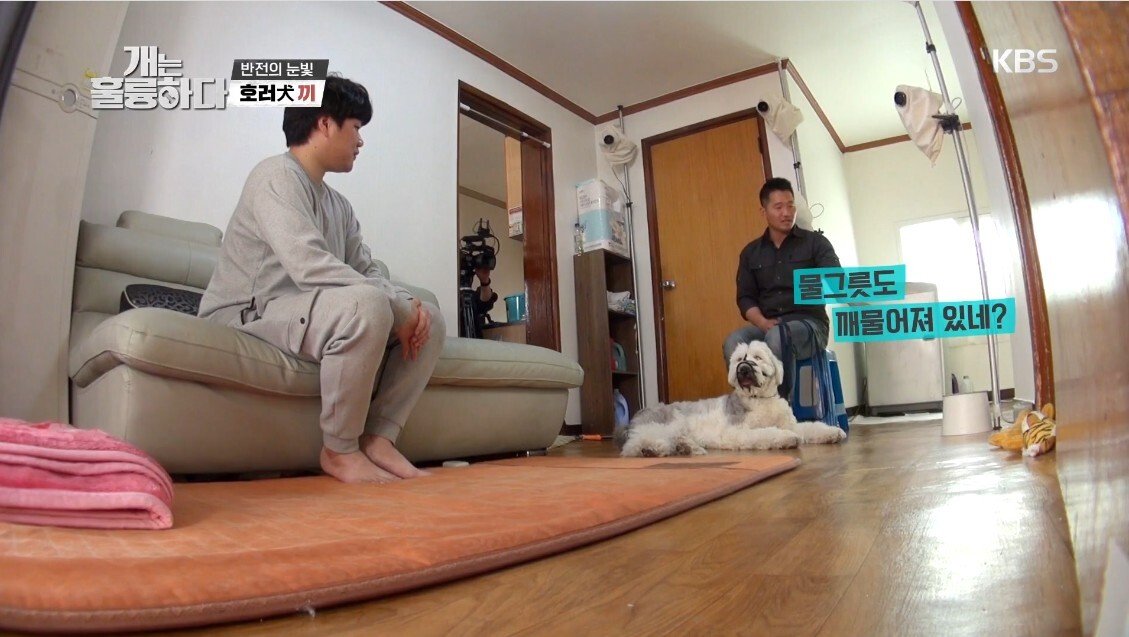 혼자 살면서 개 키우는 주인에게 빡친 강형욱