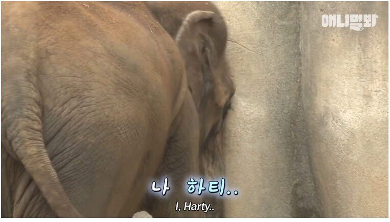 남친이랑 헤어지고 방청소 하다가 울음
