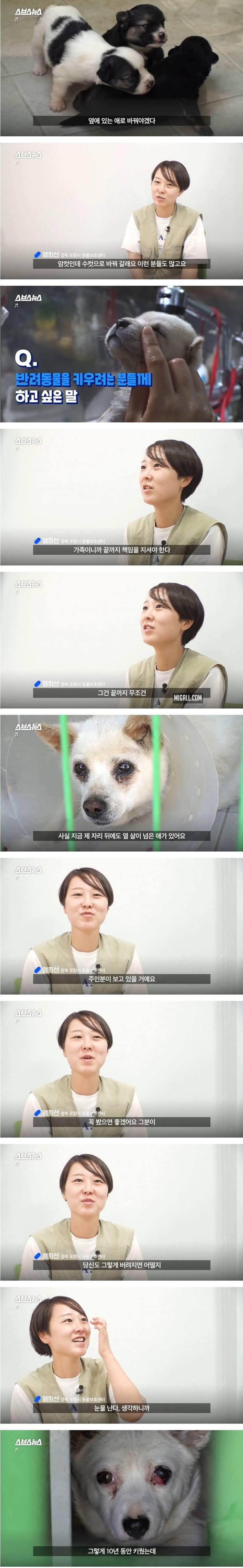 인생샷 찍어주는 보호소