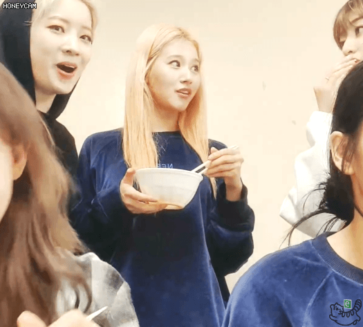 콘서트후 나연 모모 사나 다현 지효