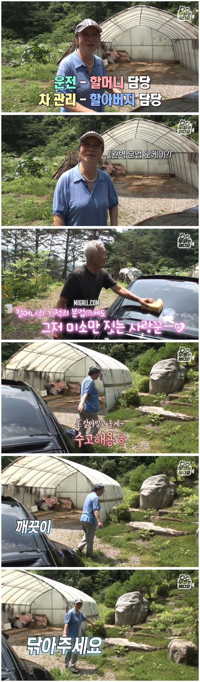 74세 스포츠카 차주