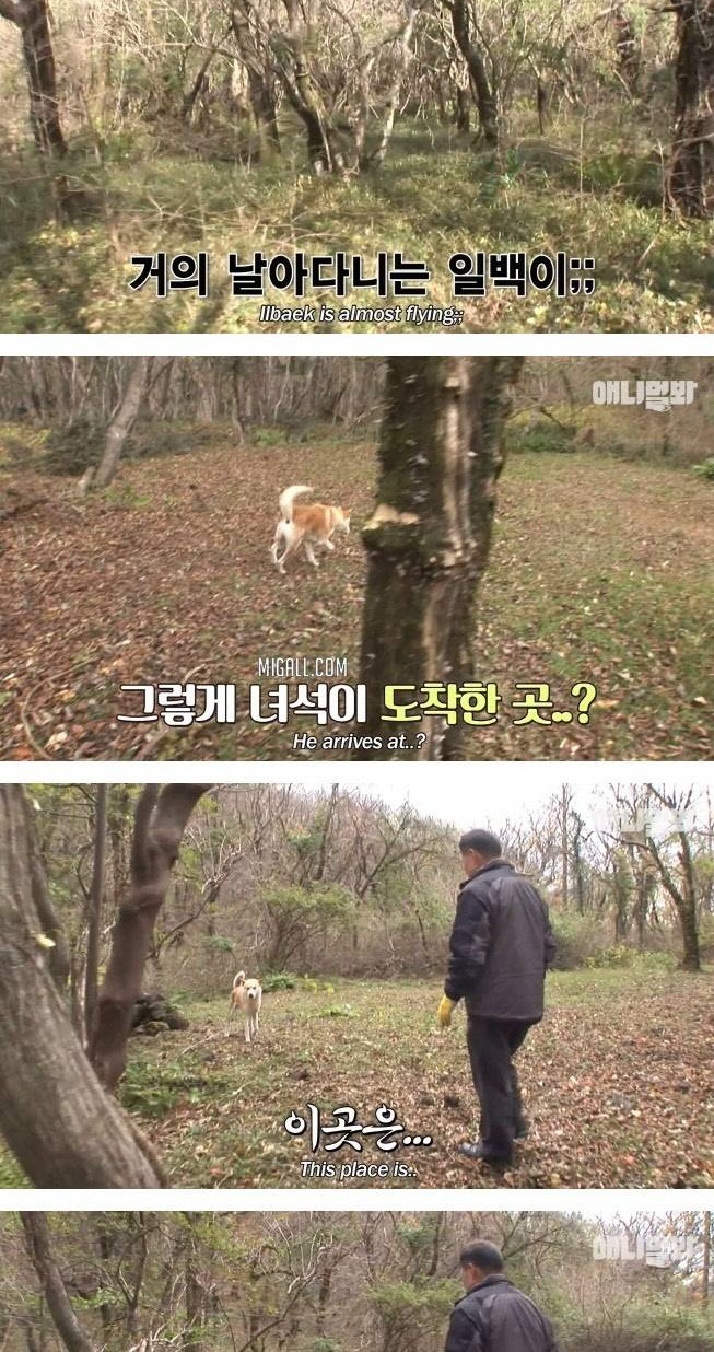 어린 황구가 죽은 아빠를 매일 만나는 방법