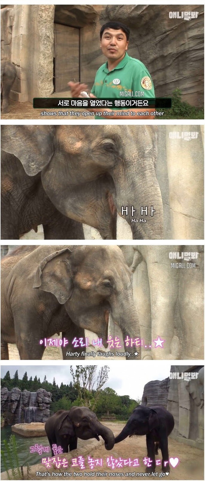 남친이랑 헤어지고 방청소 하다가 울음
