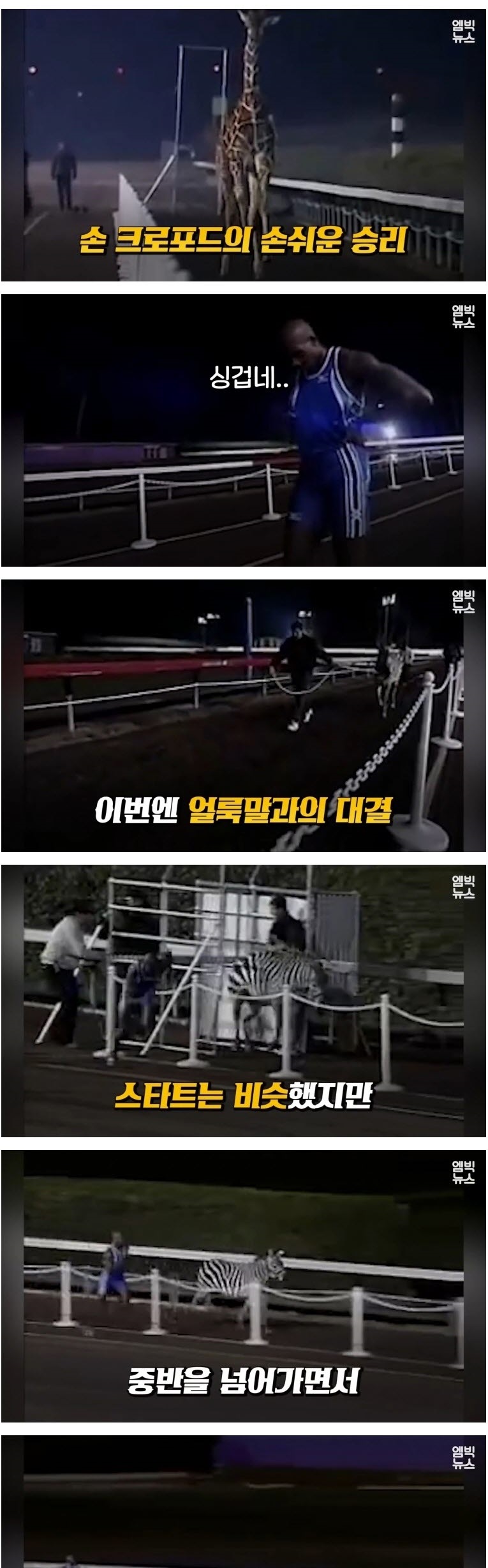 인간 VS 동물 기상천외한 승부