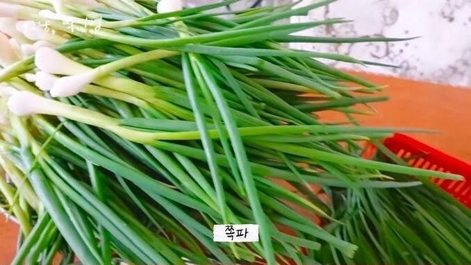 박민영이 알려주는 고추김치 맛있게 담그는 법