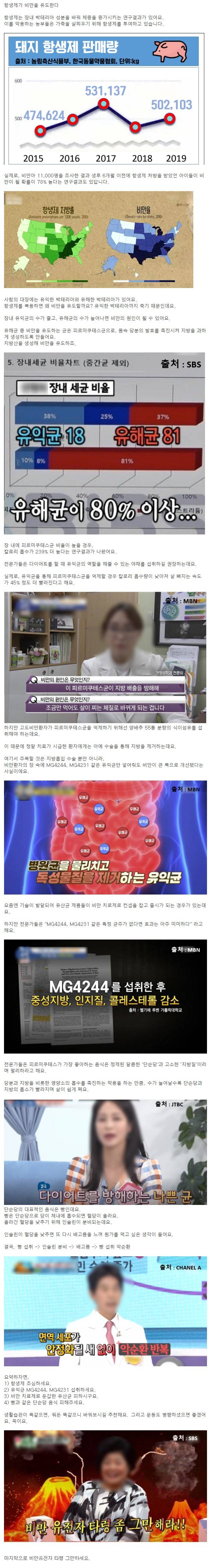 항생제가 비만을 유도한다?