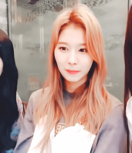 오늘자 브이앱 트와이스 미나 사나 모모 [108mb]