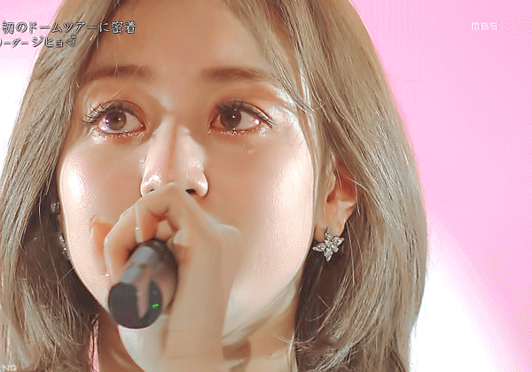 정열대륙 트와이스 사나 지효 모모 나연 [데이터]