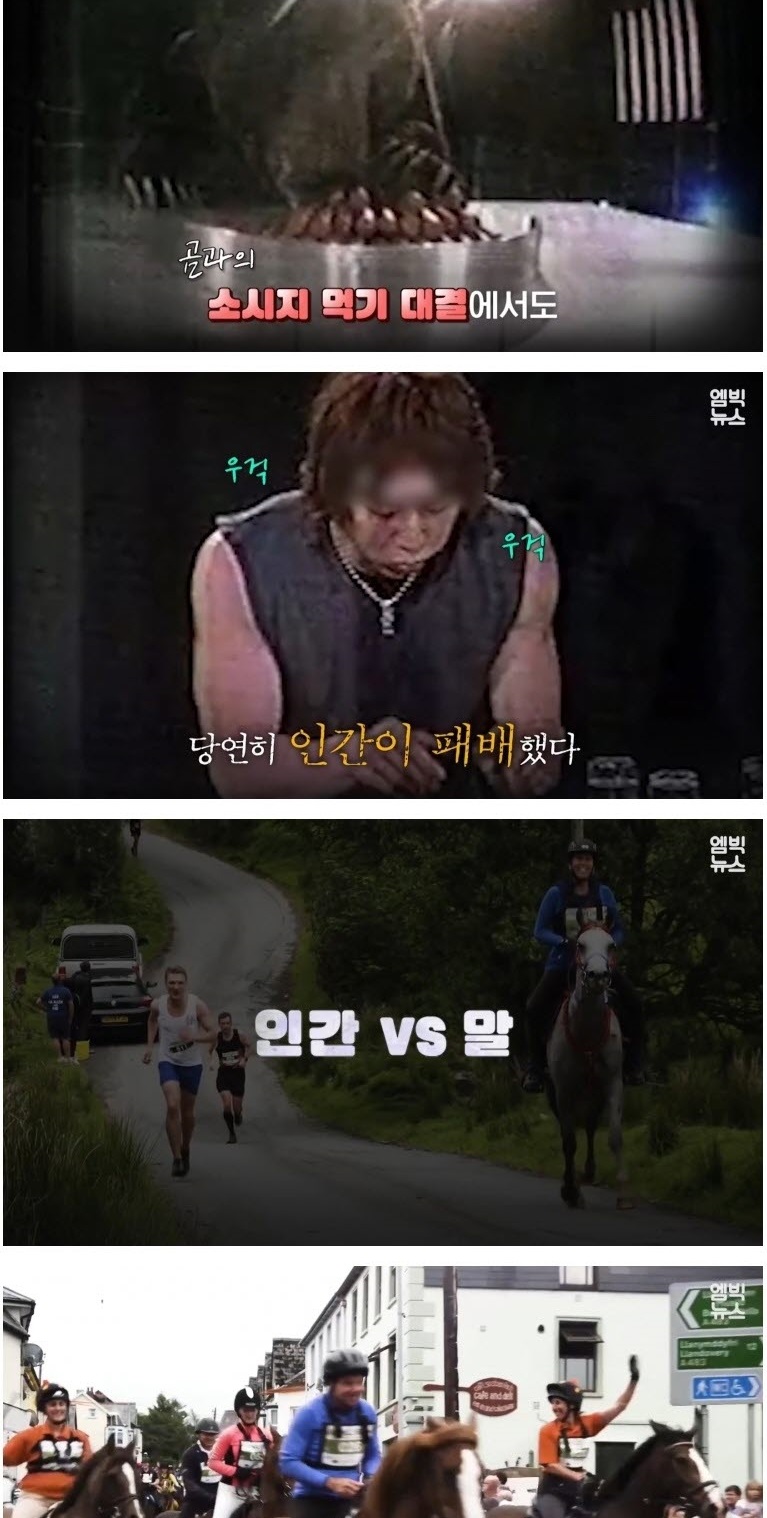 인간 VS 동물 기상천외한 승부