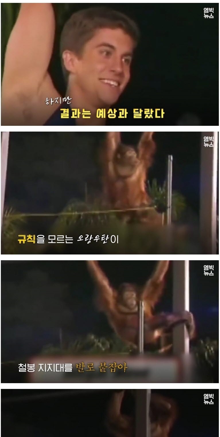 인간 VS 동물 기상천외한 승부