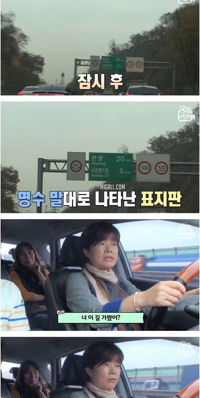인간 내비게이션 13살 알파고
