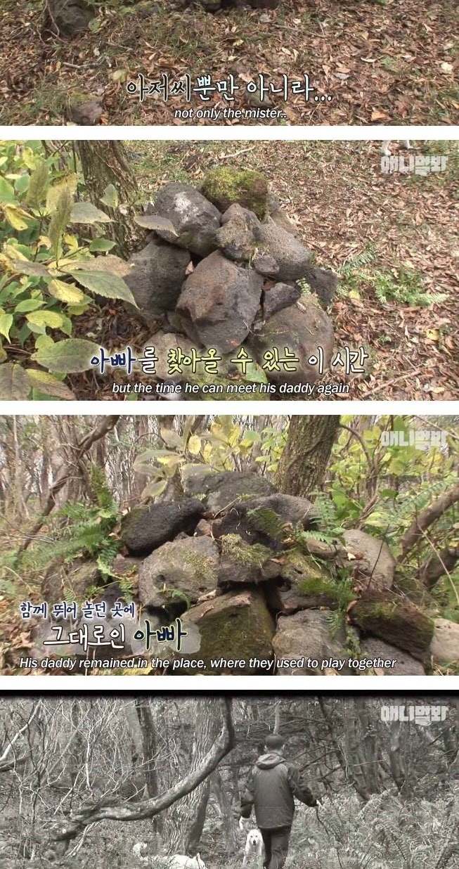 어린 황구가 죽은 아빠를 매일 만나는 방법