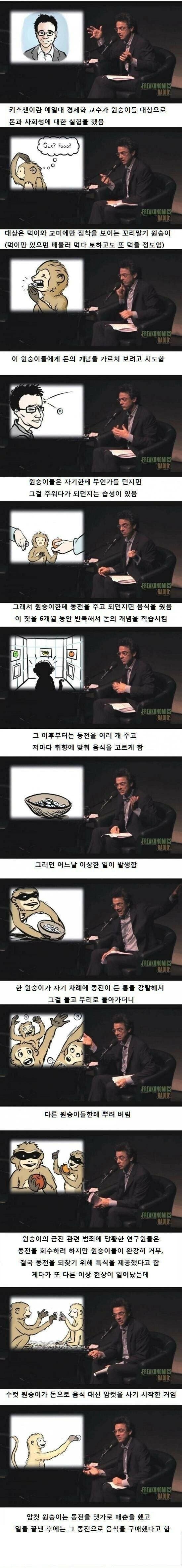 원숭이에게 돈의 개념을 가르치면