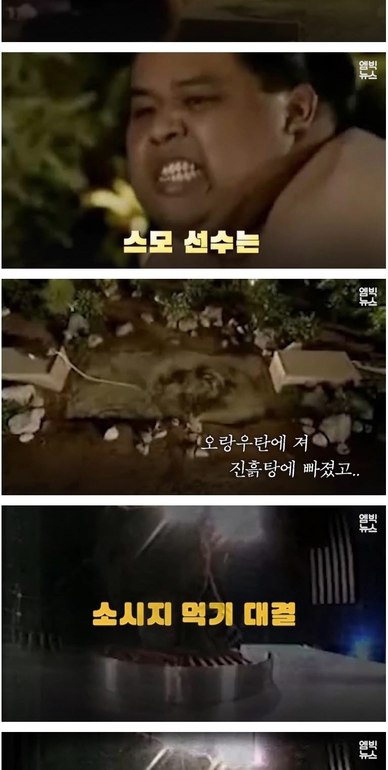 인간 VS 동물 기상천외한 승부