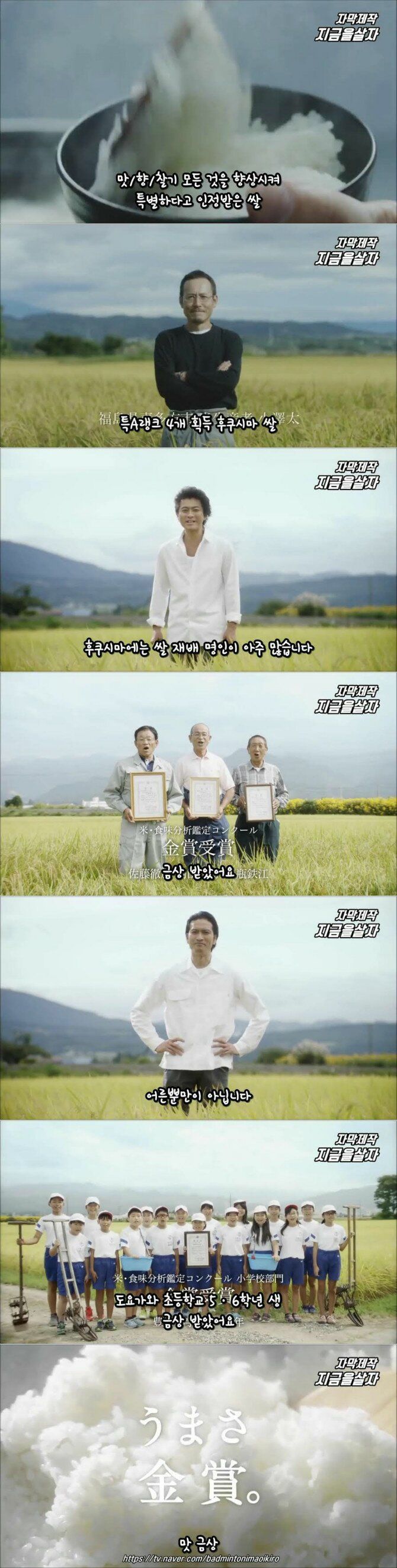 [안습] 9년 연속 상받은  -후쿠시마산 쌀(퍼옴)