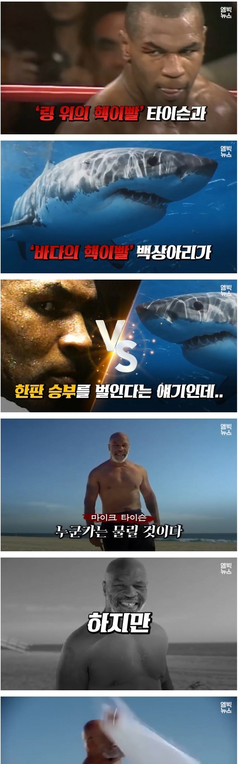 인간 VS 동물 기상천외한 승부