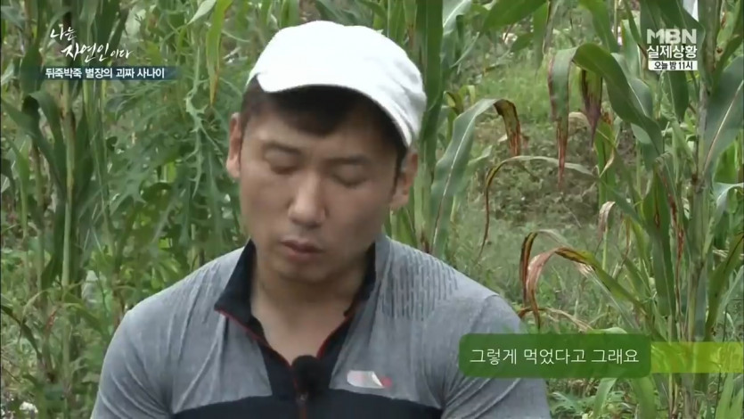 자연인의 벌꿀 국수