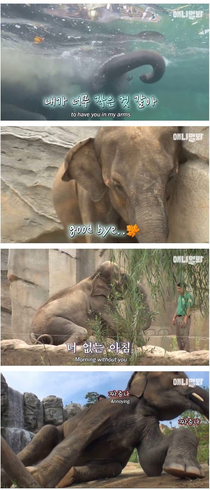 남친이랑 헤어지고 방청소 하다가 울음