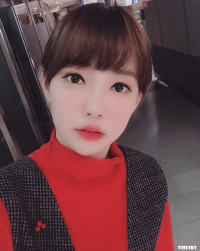 강아랑 캐스터