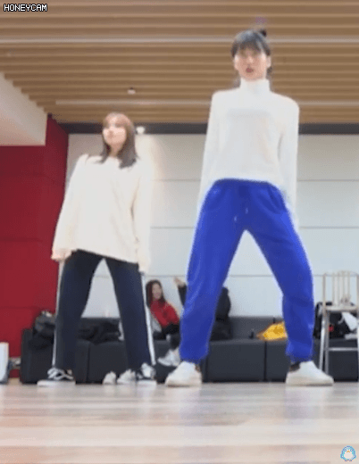 트와이스 춤추는 모사?미다채