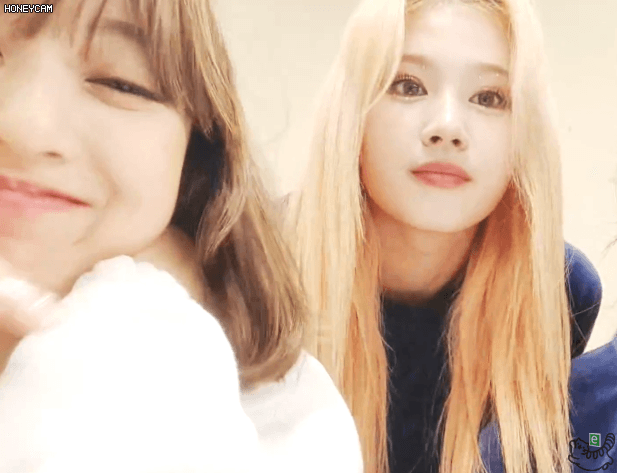 콘서트후 나연 모모 사나 다현 지효