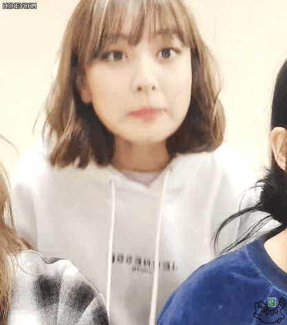 콘서트후 나연 모모 사나 다현 지효