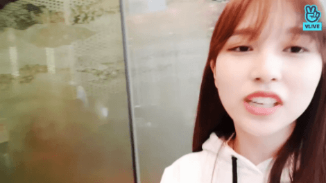 오늘자 브이앱 트와이스 미나 사나 모모 [108mb]