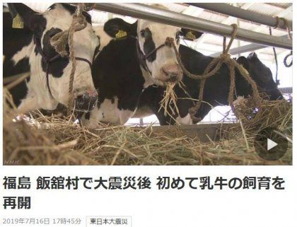 후쿠시마에서 드디어 젖소 사육을 한다네요