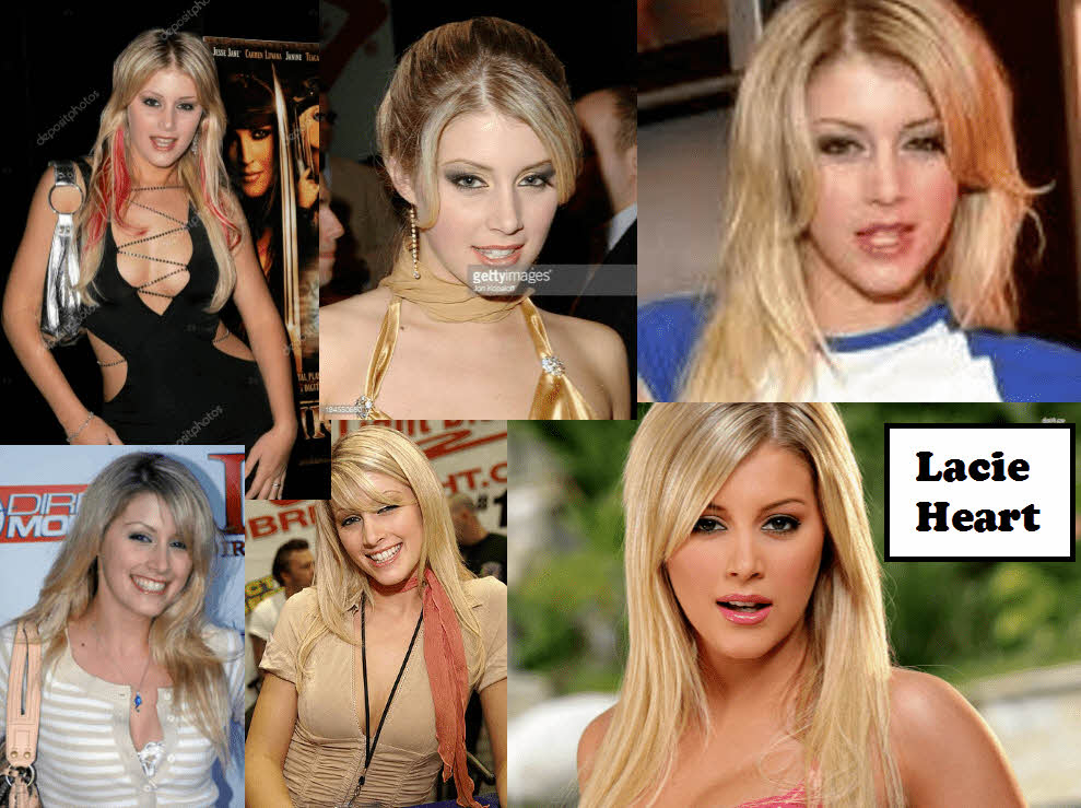 S급 서양 배우 확장판