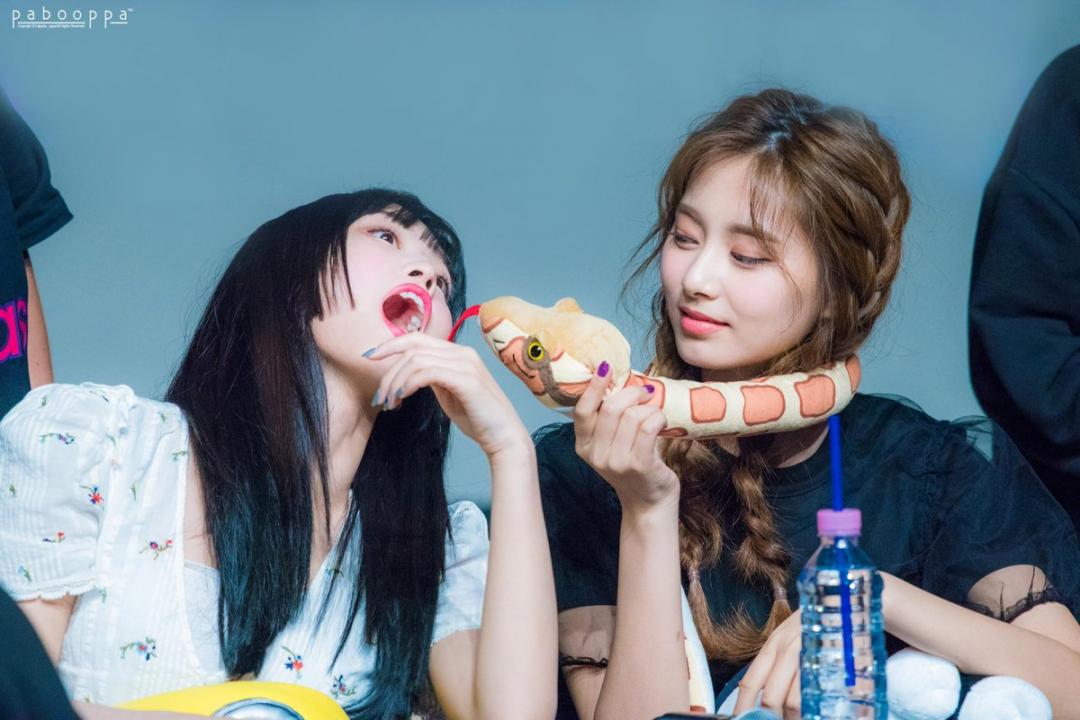 190505 일지 아트홀 팬 싸인회