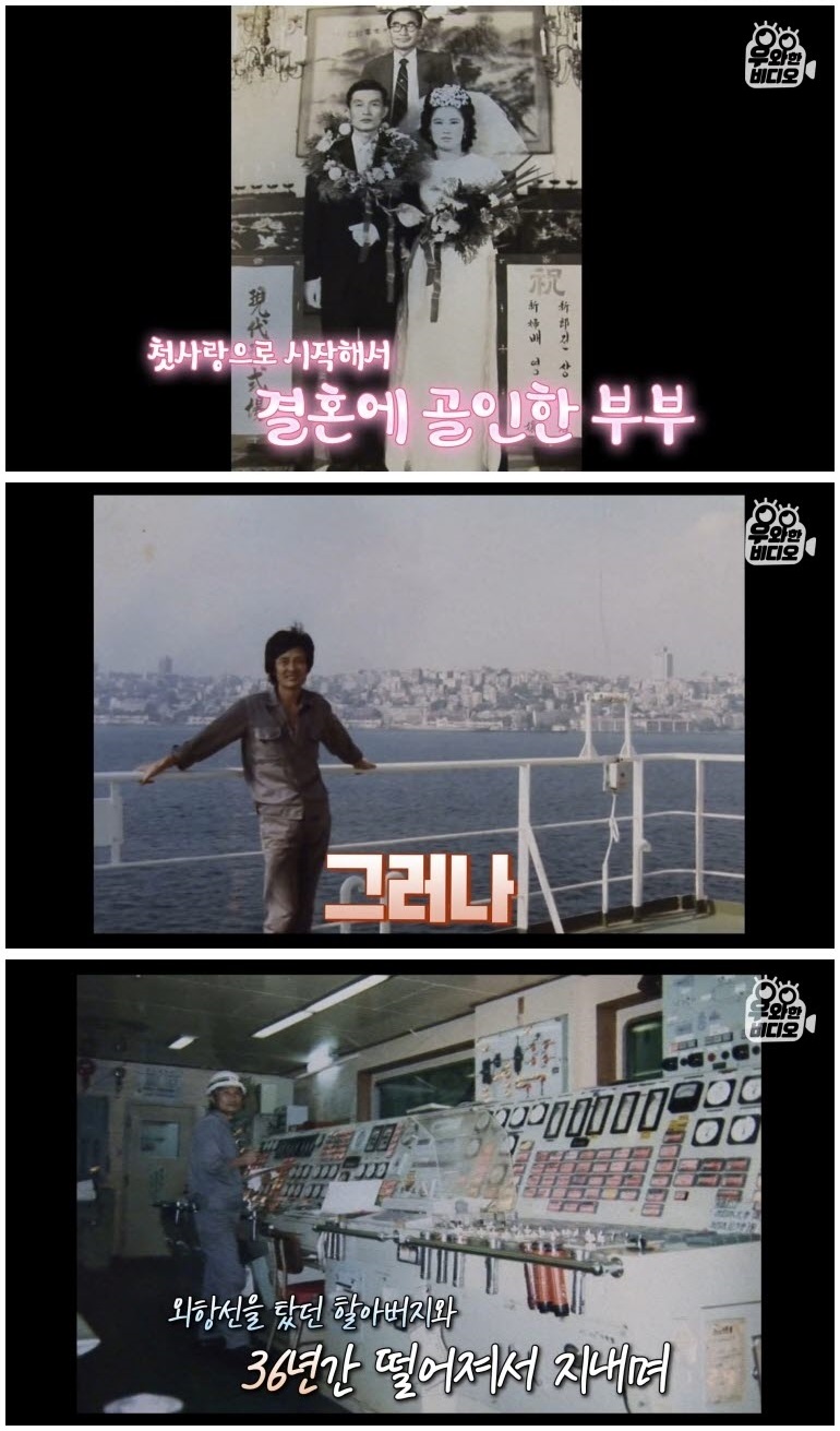 74세 스포츠카 차주