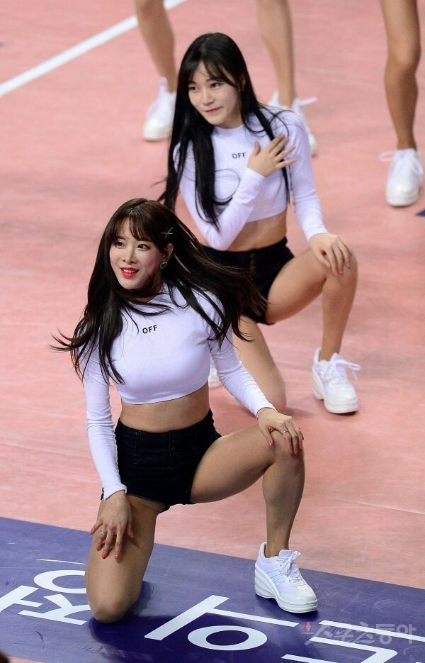 오늘자 안지현 기사 짤