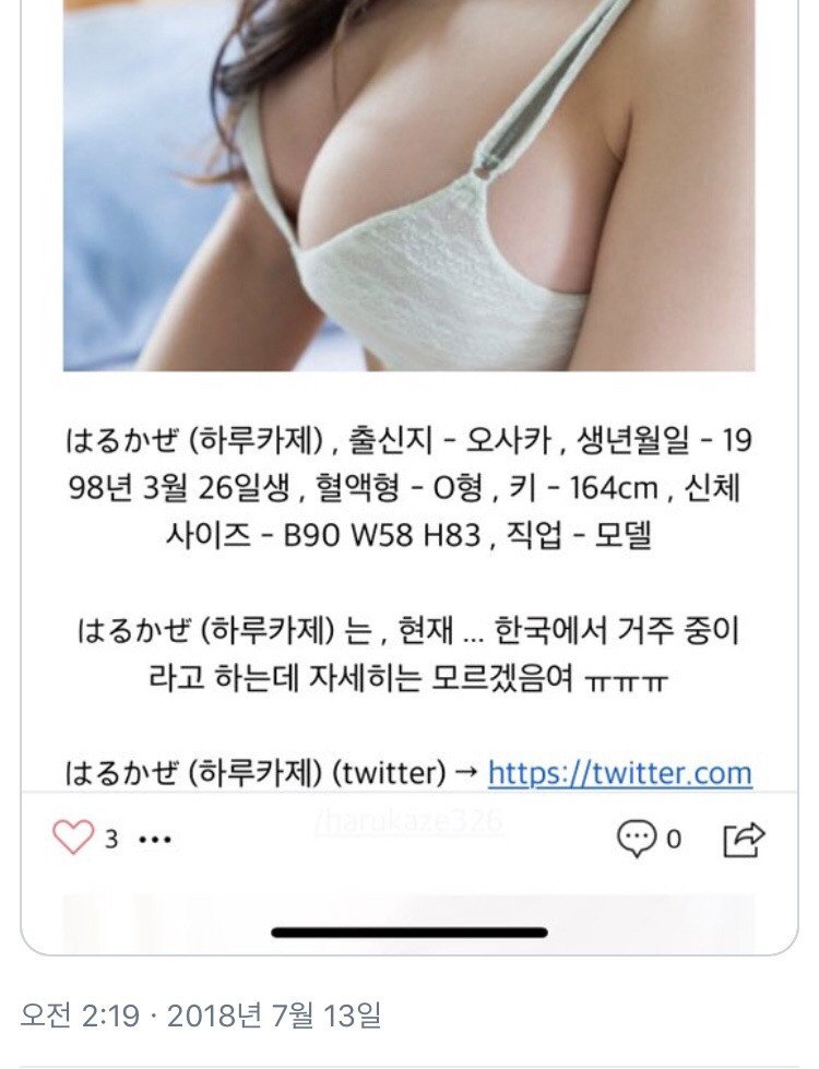 한국어학당 다녔다는 98년생 그라비아녀 근황