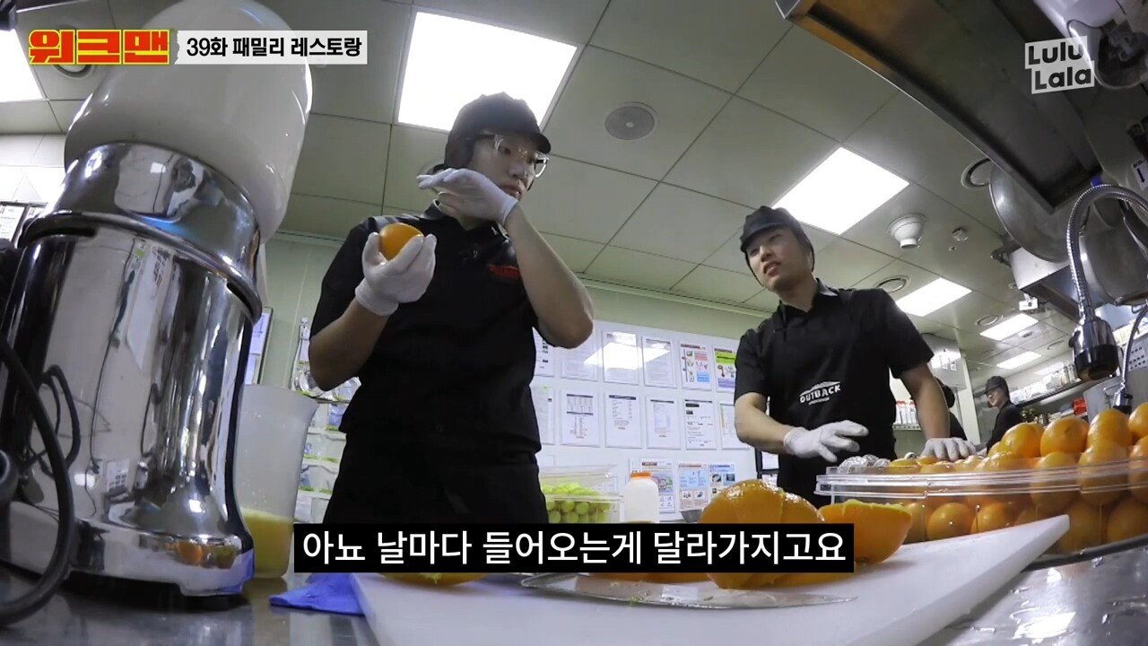 원산지로 알아보는 아웃백 유니버스