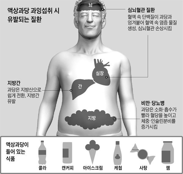 액상과당 과잉섭취의 위험성