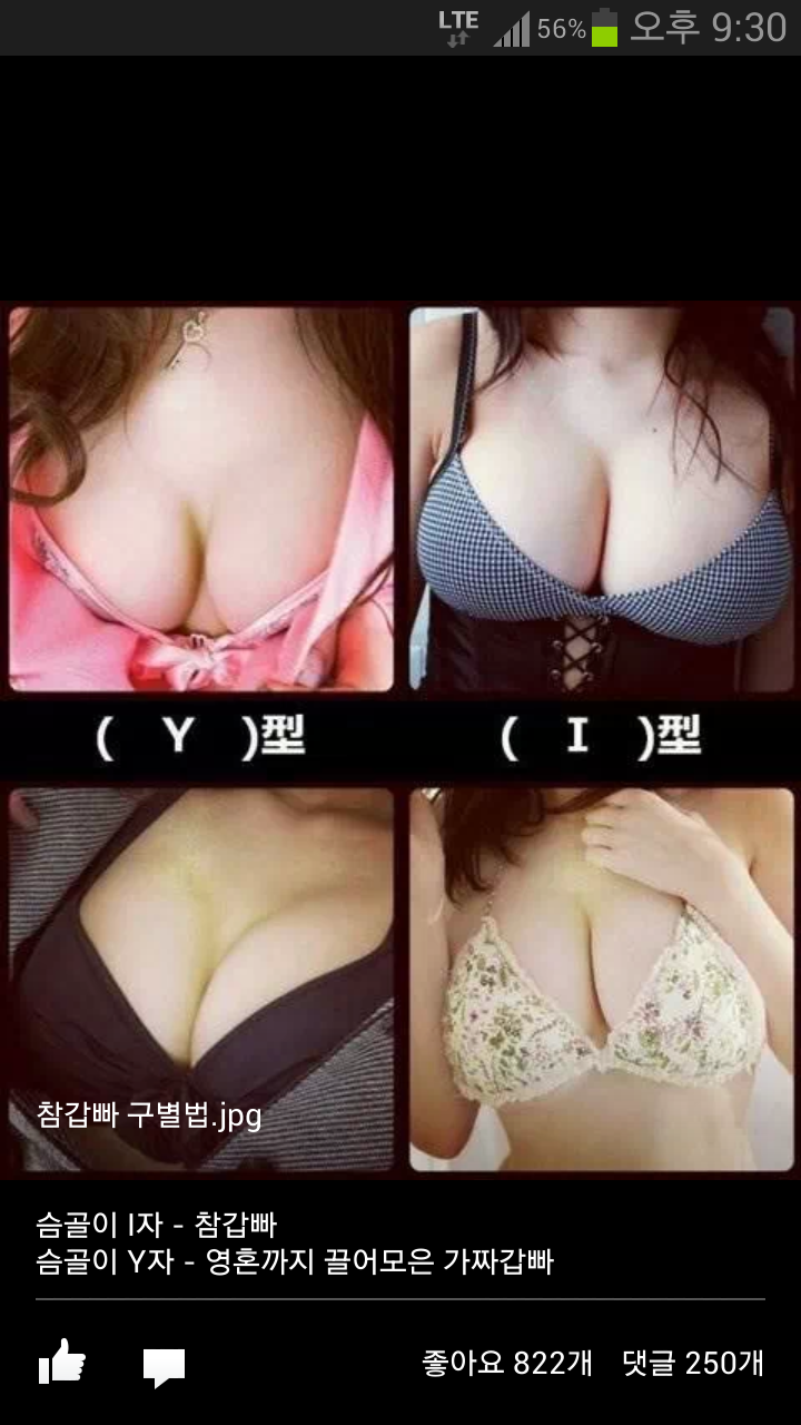참갑빠 구별법
