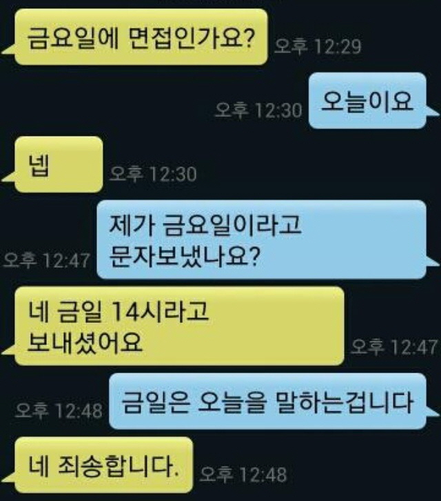 250. [유머] 면접 실패