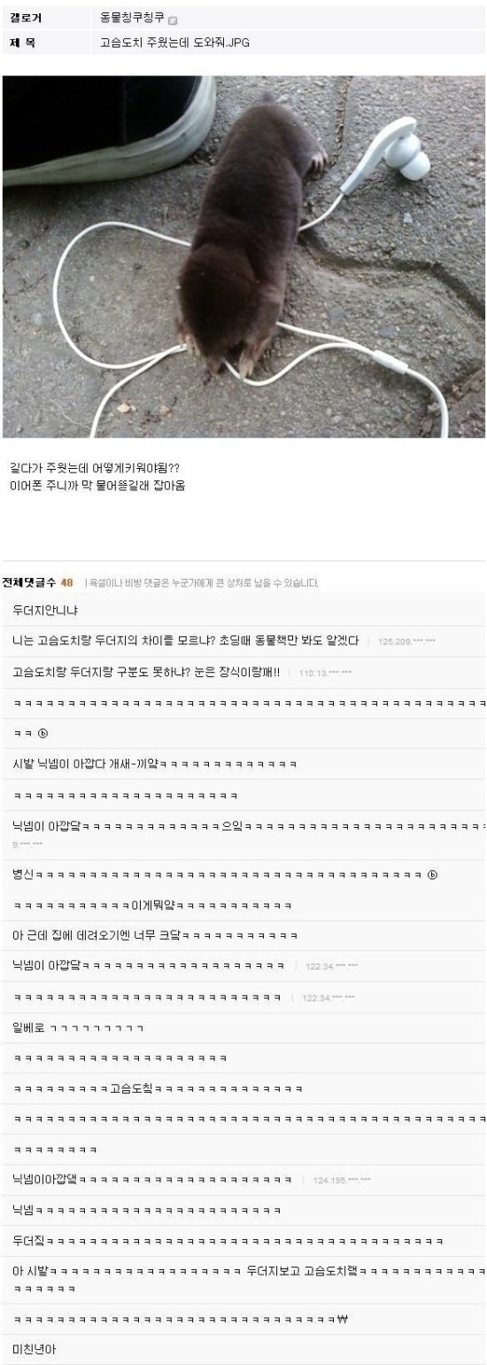 고슴도치 주웠는데 도와줘
