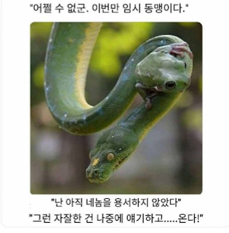 일본인 태세전환