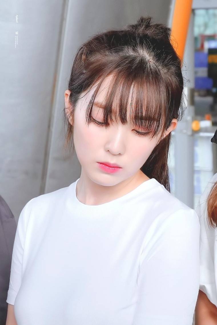 레드벨벳 아이린