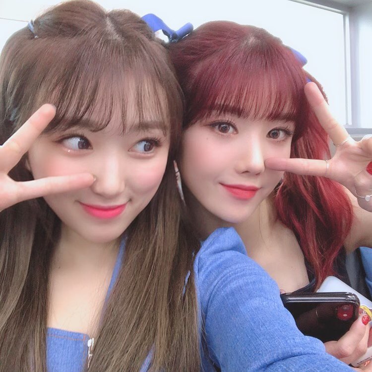 아이즈원 트윗-나코,은비