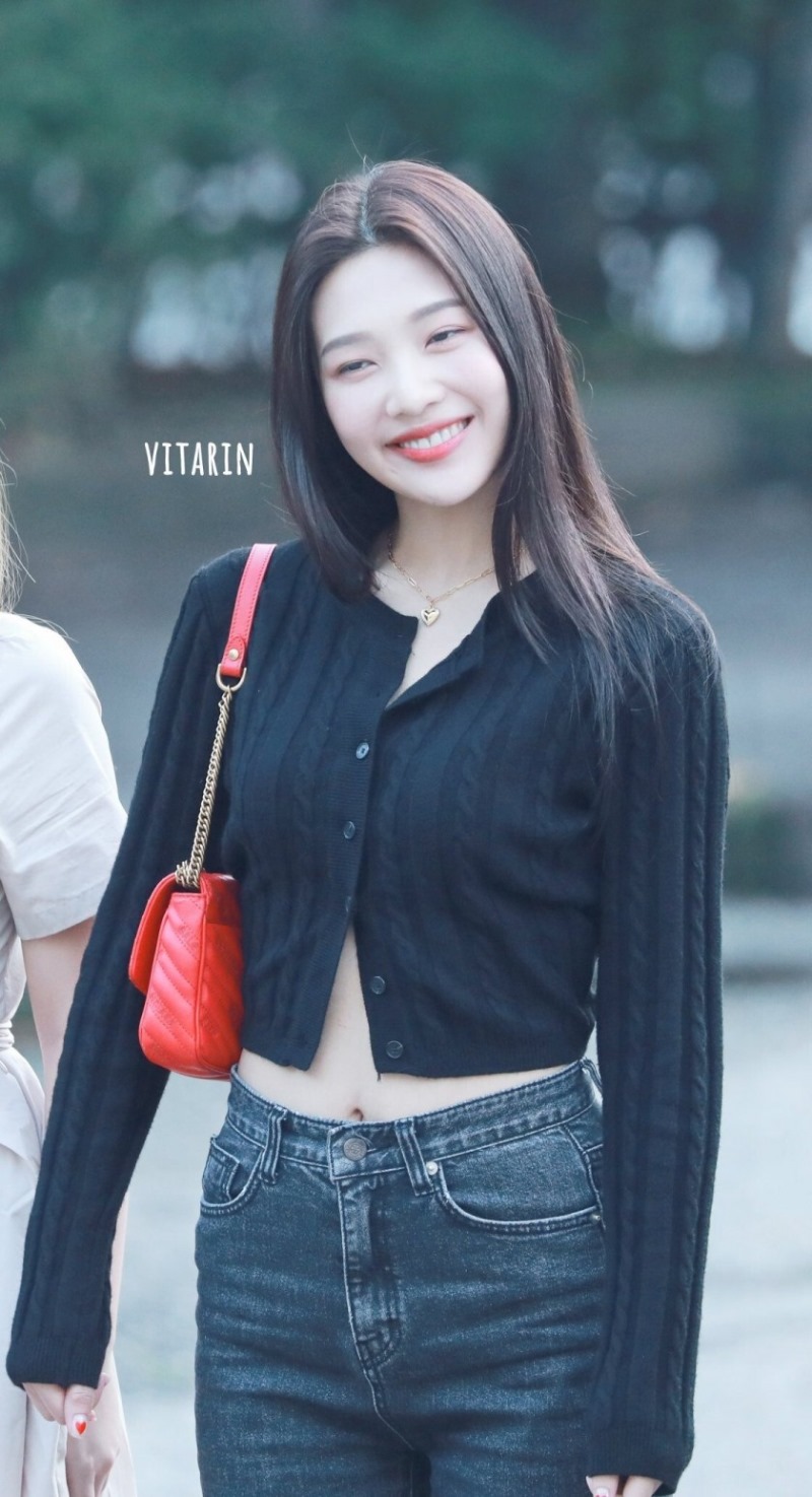 레드벨벳 조이