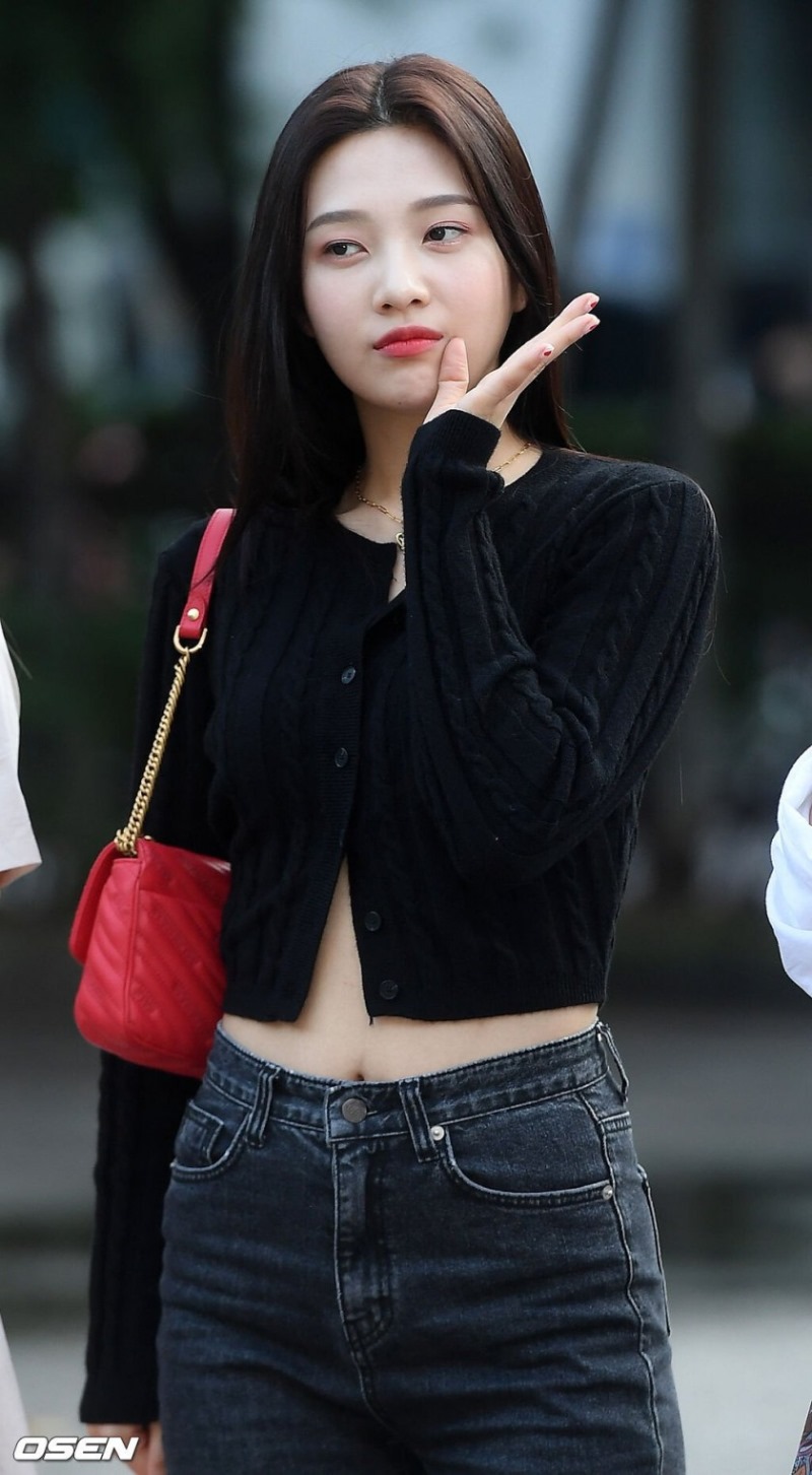 레드벨벳 조이