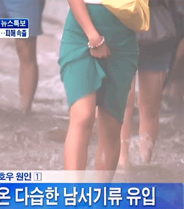 장마 피해 속출